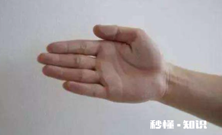 腻子粉刮好后掉粉怎么办 腻子为什么一摸就掉粉