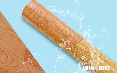 地板革下面潮湿会有虫子吗 地板革下面潮湿怎么办