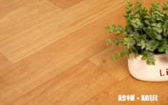 地板革下面潮湿会有虫子吗 地板革下面潮湿怎么办