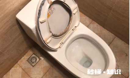 马桶冲水回脏东西怎么办 马桶冲了又上来脏东西怎么回事