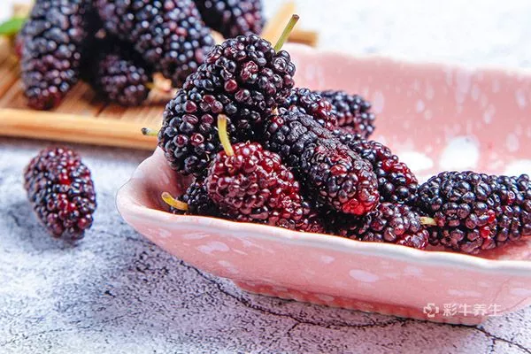 枸杞桑葚泡水喝的禁忌 枸杞桑葚泡水喝的注意事项