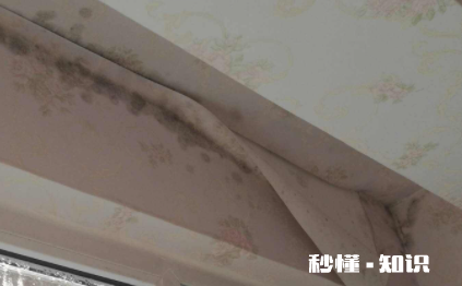 怎么贴墙纸不会发霉 墙纸发霉的房间能住吗