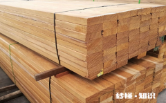 杉木是实木的一种吗 为什么现在不用杉木做家具