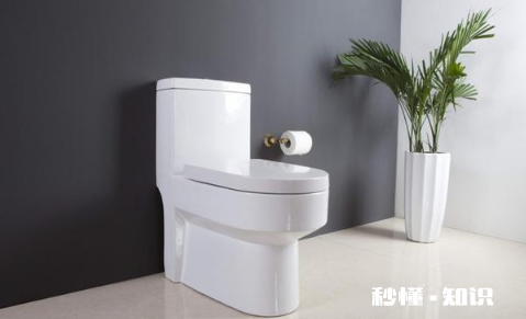 屎太硬堵住马桶能泡软吗 屎太硬堵住马桶一晚上能好吗