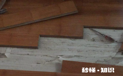 木地板空鼓怎么修补 木地板有点空鼓怎么处理最省事