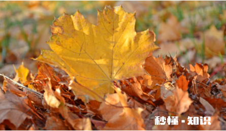 壁纸发黄用什么能刷掉 墙纸被烟熏黄了怎么办