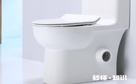 侧排马桶好还是后排马桶好 侧排式马桶好不好