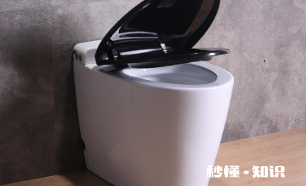 侧排马桶好还是后排马桶好 侧排式马桶好不好