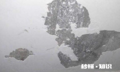 墙上的腻子为什么会掉 腻子掉了一块怎么处理