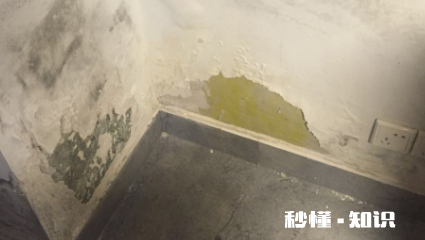 墙上的腻子为什么会掉 腻子掉了一块怎么处理