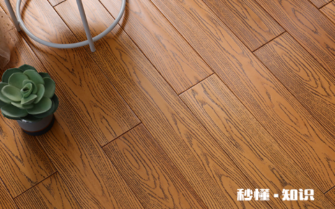 地板生虫可以除干净吗 木地板生虫子怎样根治