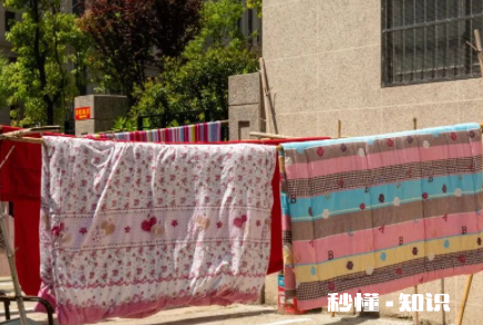 被子怎么清除螨虫 被子螨虫多身体会有哪些反应