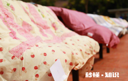 被子怎么清除螨虫 被子螨虫多身体会有哪些反应