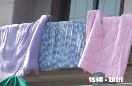 被子怎么清除螨虫 被子螨虫多身体会有哪些反应