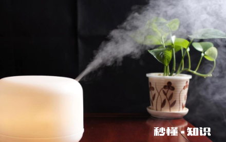 小型加湿器喷雾小怎么回事 小加湿器喷的雾是乳白色什么原因