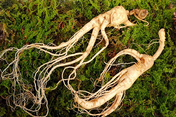 哪些人不能补硒 补硒的禁忌人群