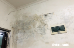 防水补漏打针注浆花了20000合理吗 防水补漏打针注浆效果保持多久