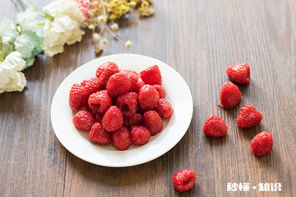 构树穗的功效与作用禁忌 构树穗有哪些功效与禁忌