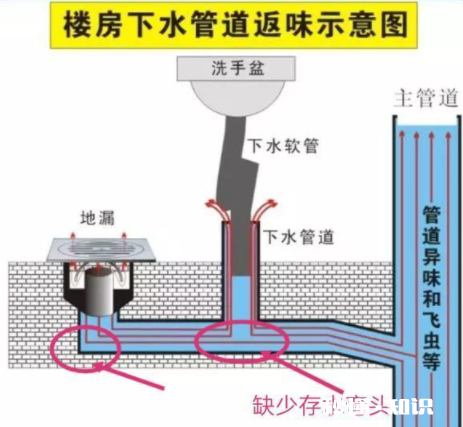 卫生间除臭用什么最好 卫生间返臭找不到哪里出来的臭味
