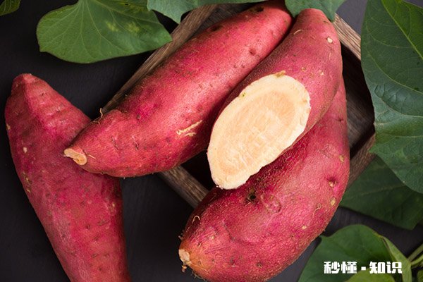 豆浆鸡蛋能不能同时吃 豆浆不能和什么一起吃