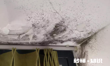 屋里棚顶发霉怎么回事 屋顶发霉是楼上的原因吗