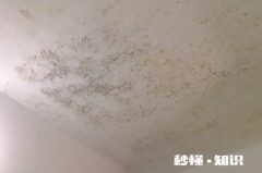 屋里棚顶发霉怎么回事 屋顶发霉是楼上的原因吗