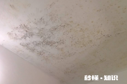 屋里棚顶发霉怎么回事 屋顶发霉是楼上的原因吗