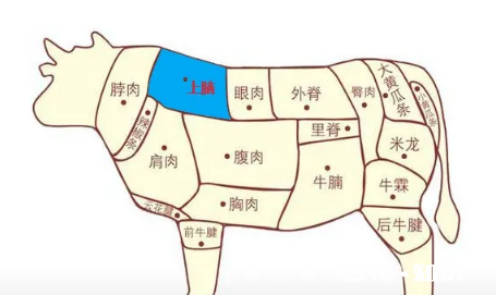 牛上脑是哪个部位图片 牛上脑是雪花牛肉吗