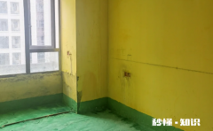 墙固和界面剂哪个效果好 墙固直接刷还是兑水呢