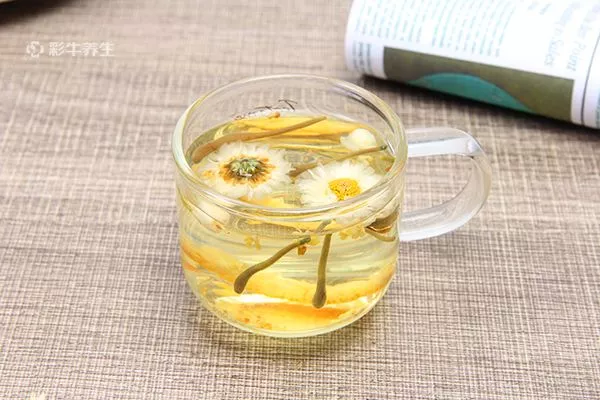 绿茶和菊花能一起泡吗 绿茶和菊花泡水喝的功效