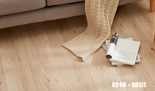 木地板只能干拖吗 木地板拖地水中加点什么清洁效果好