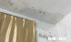 卧室墙面发霉对身体健康有影响吗 墙发霉用什么办法能解决
