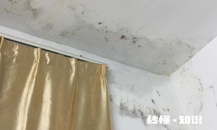 卧室墙面发霉对身体健康有影响吗 墙发霉用什么办法能解决