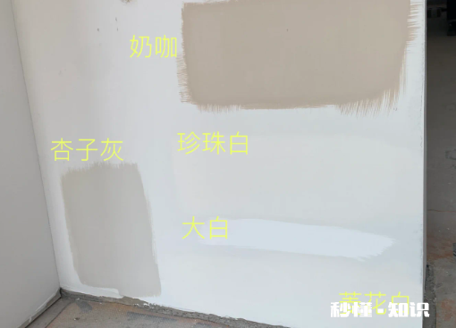 立邦珍珠白和菱花白哪个更白 立邦珍珠白和菱花白怎么选对比