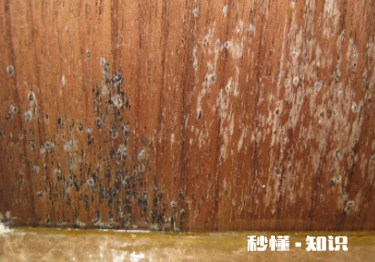 木家具发霉了用什么办法处理它 木制家具长霉能晒太阳吗