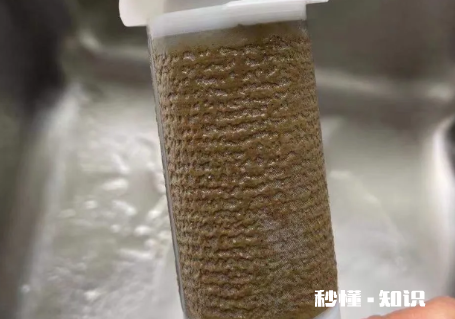 前置过滤器两年没清洗会堵塞吗 前置过滤器两年没清洗怎么办