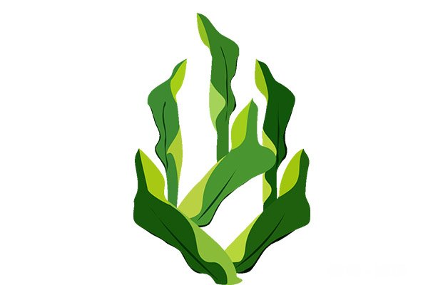 甲亢病人饮食禁忌一览表 甲亢患者不能吃什么