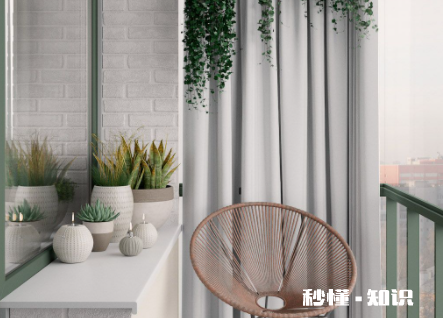 儿童房适合养什么植物 婴儿房间可以养花吗