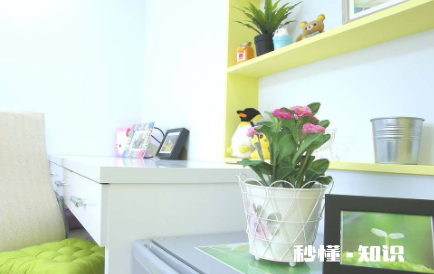 儿童房适合养什么植物 婴儿房间可以养花吗