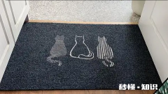 入户门地垫什么图案最旺财 进门地垫颜色风水有什么讲究