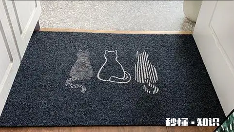 入户门地垫什么图案最旺财 进门地垫颜色风水有什么讲究