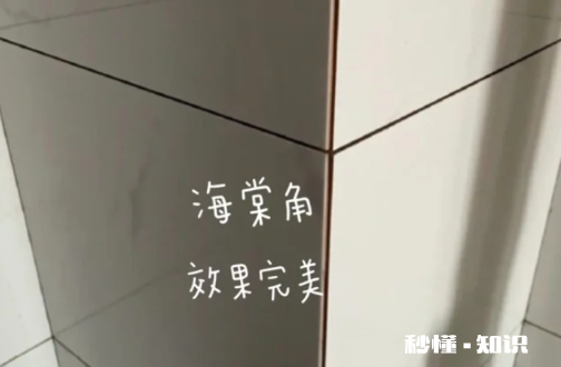 海棠角有必要吗 海棠角和阳角条什么比较好
