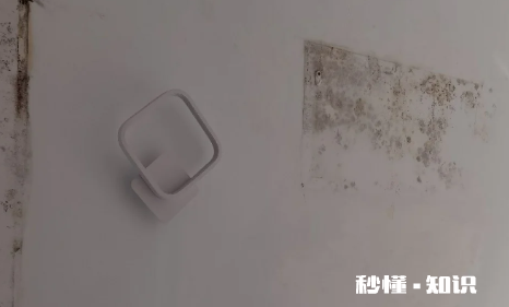 外墙渗水到内墙能彻底解决吗 外墙渗水物业不给处理打哪里电话投诉