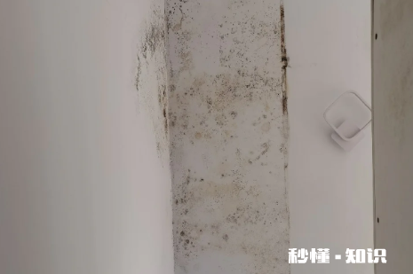 外墙渗水到内墙能彻底解决吗 外墙渗水物业不给处理打哪里电话投诉