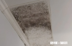 外墙渗水到内墙能彻底解决吗 外墙渗水物业不给处理打哪里电话投诉