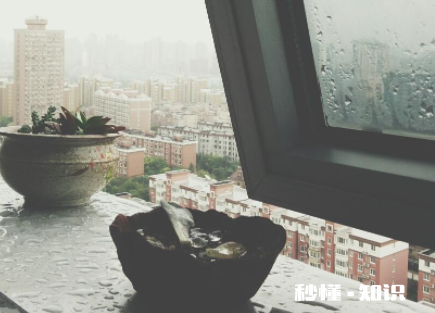 窗户水槽溢水到房间怎么办 窗户水槽的水怎么办