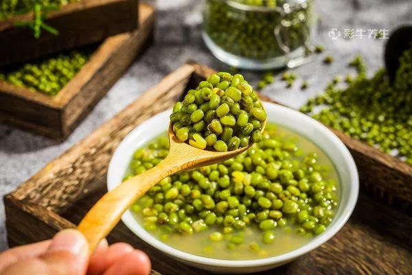 喝绿豆汤的五大禁忌 喝绿豆汤有哪些注意事项