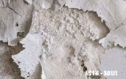 墙面一块块掉下来有什么补救办法 墙皮掉了一小块怎么自己修补