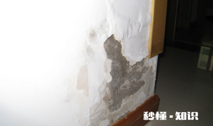 墙面一块块掉下来有什么补救办法 墙皮掉了一小块怎么自己修补