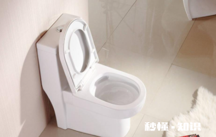 马桶盖长黑霉怎么去除 马桶盖长霉是什么原因